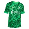 Dresovi Liverpool Golmanski 2024-25 - Kratki Rukavima Zelena